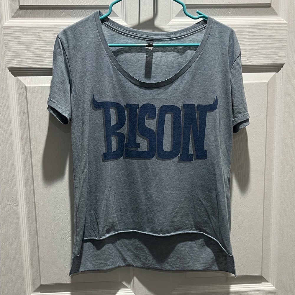 Next Level Apparel Bison Graphic Tee in Blue